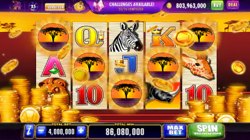 Interface de apostas do 81bet